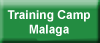 malaga training camp
